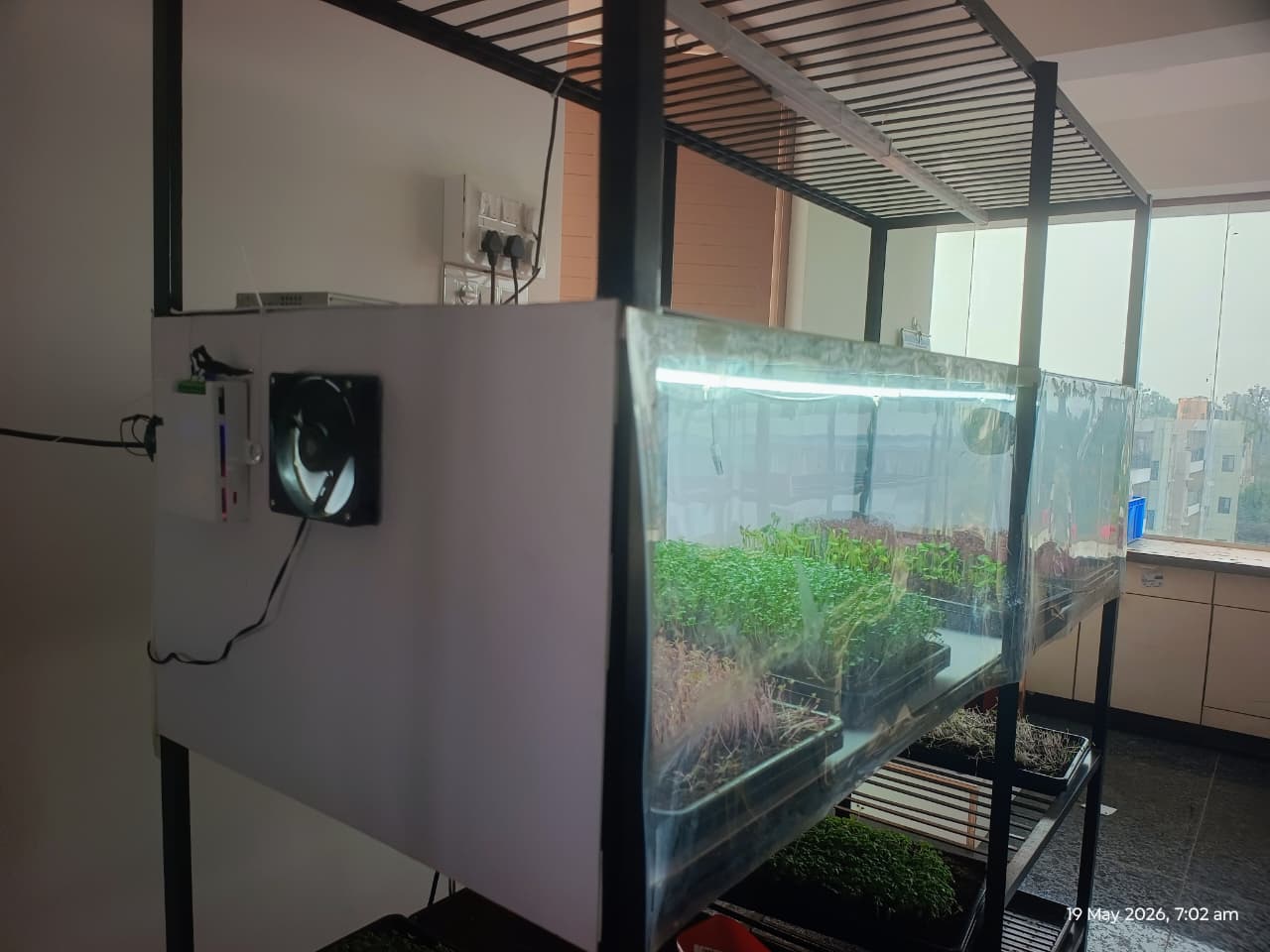 Clean indoor belFresh microgreens growing setup